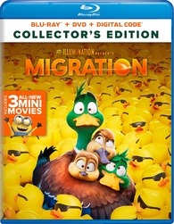 migration 2024