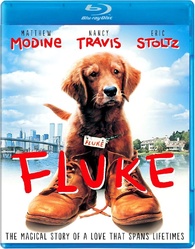 fluke 1995