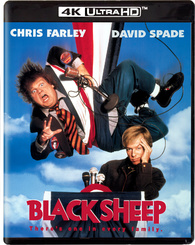 Black Sheep (1996)